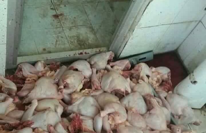 What City Hall Is Doing About The Viral Photo Of Chicken Lying On The Floor Next To A Toilet