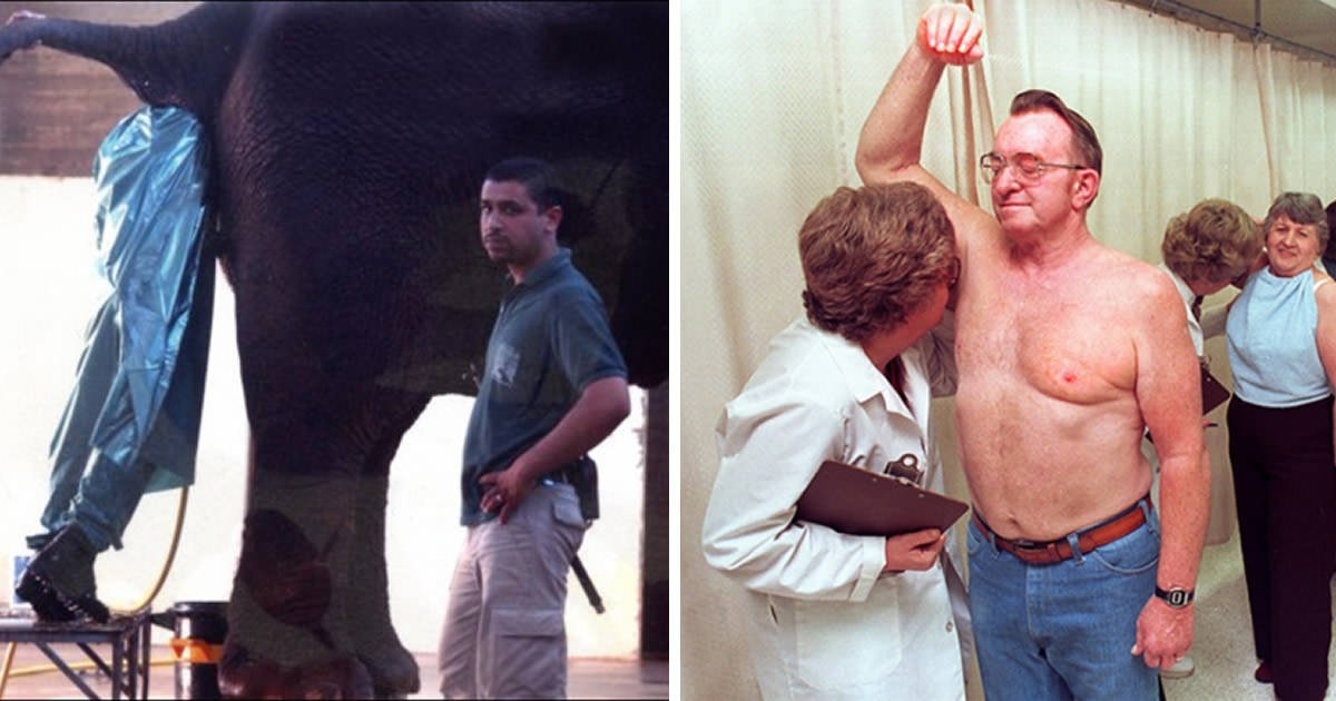 17 Weirdest Jobs In The World. Take A Look At How Others Earn A Living
