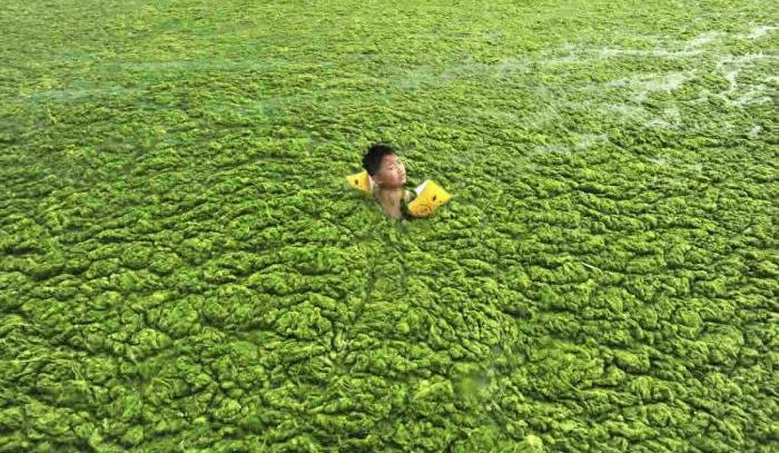 If You Think China’s Air Is Bad You Should See The Water
