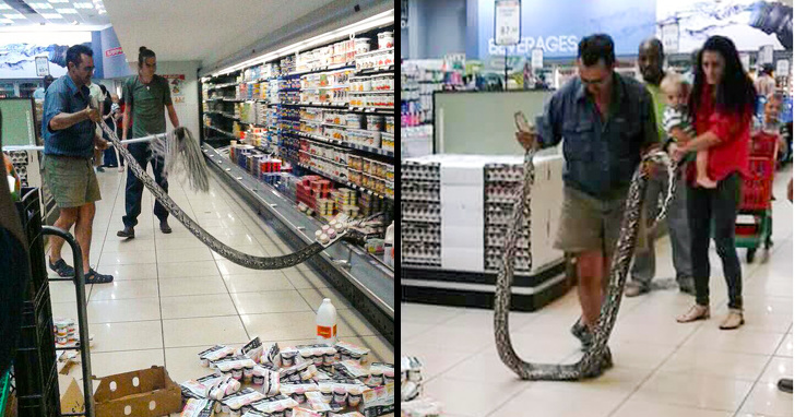 13 Pictures Proving That Absurdity Is Always Somewhere Around the Corner