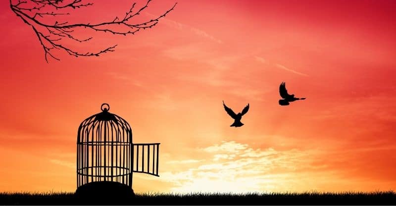 10 Songs About Freedom & Independence